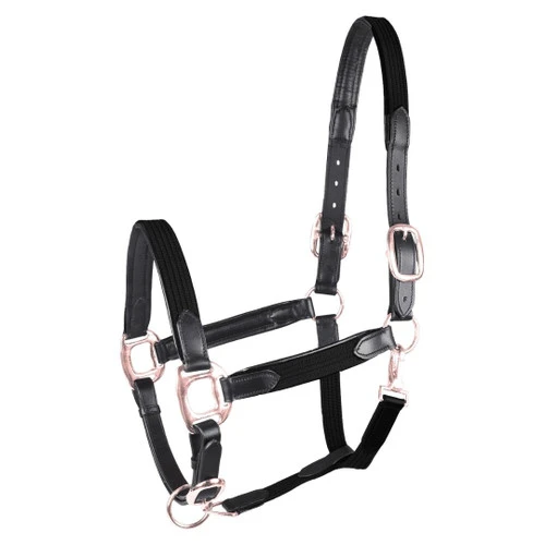 Waldhausen Star Mix Halter 4 Waldhausen Star Mix Halter - Image 2
