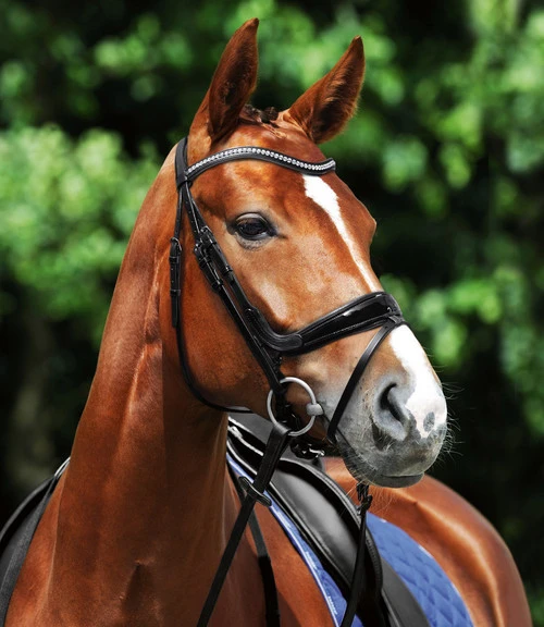 Passier Starlight Snaffle Bridle 3 Passier Starlight Snaffle Bridle