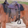 Cashel Step Up Stirrup -Royal Horse Outfitters step up stirrup black saddle SOS chasel 67097.1674772523