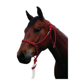 Double Diamond 100 Stiff Rope Halter