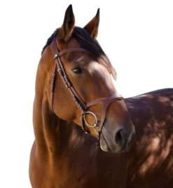 Halter Ego Triomphe Jumper Bridle 11 Halter Ego Triomphe Jumper Bridle -Royal Horse Outfitters triomphe jumper bridle brown hero halter ego 87323.1690316756