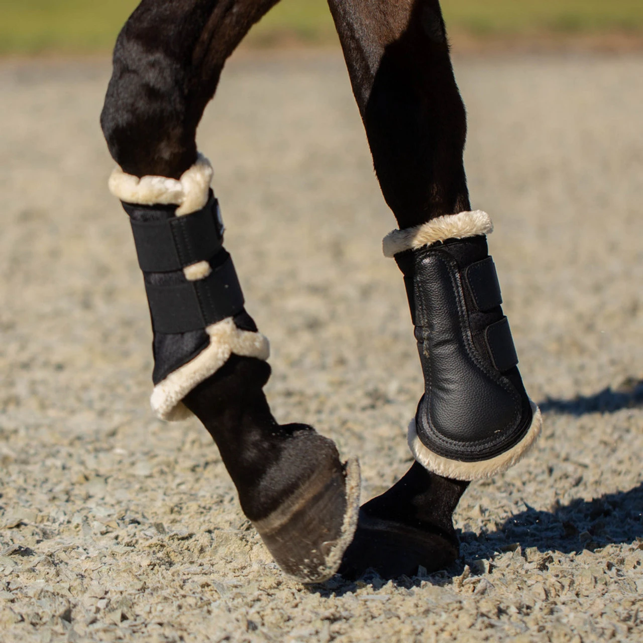 Equinavia Ty NordicAir Brushing Boots 6 Equinavia Ty NordicAir Brushing Boots - Image 4